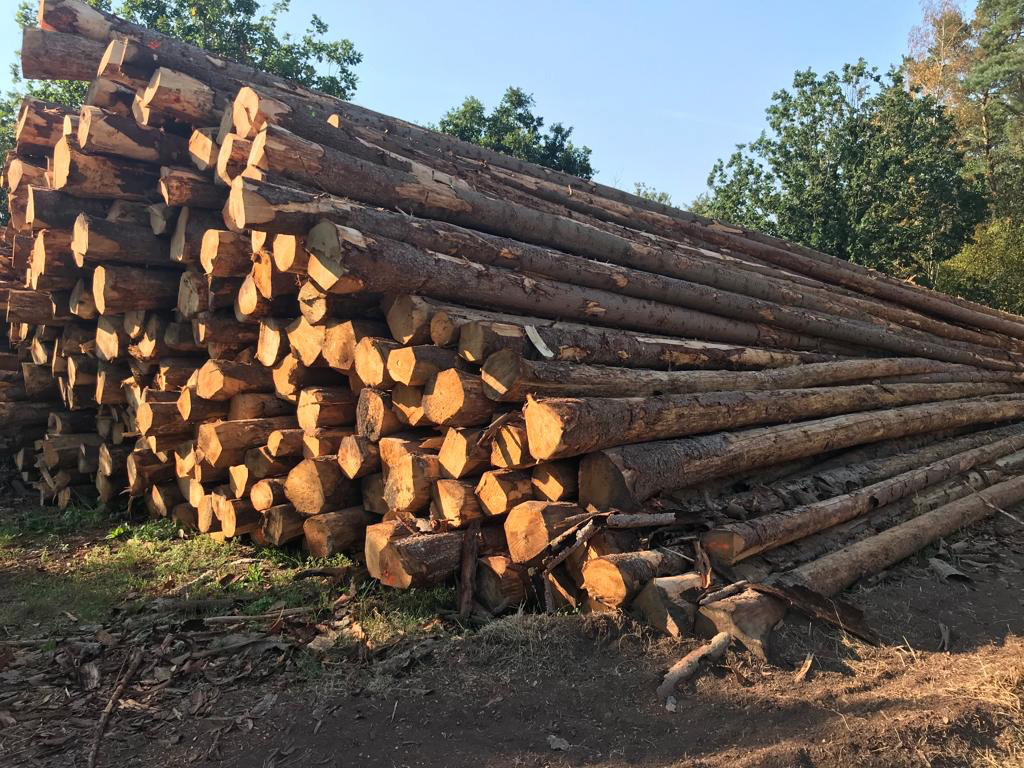 Eu-timber-wood-3